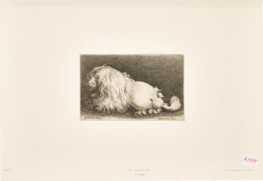 View full screen - View 1 of Lot 321. A Poodle (Pennington 2097, New Hollstein 1073).