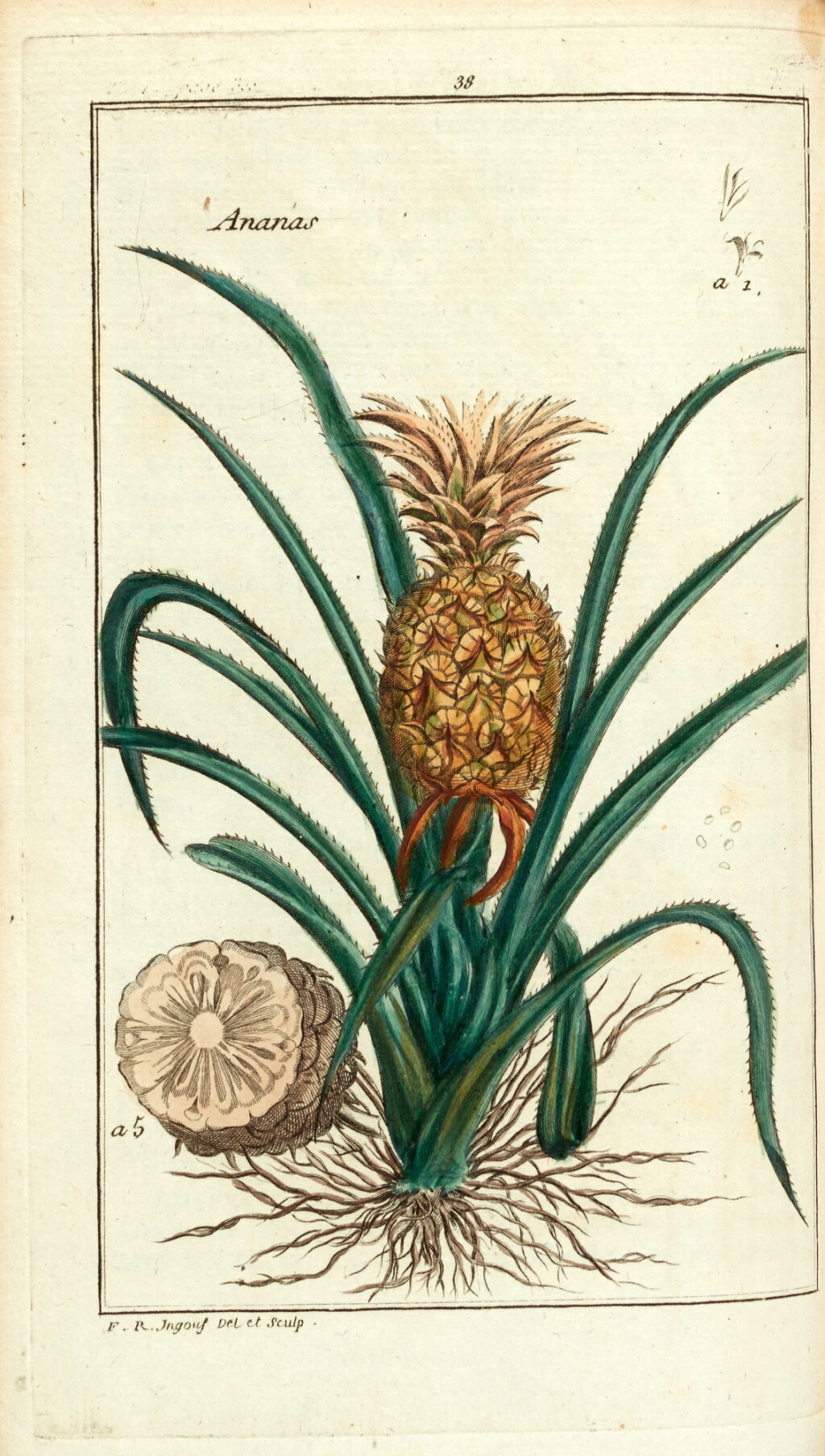 View full screen - View 1 of Lot 379. Nicolas Jolyclerc | Phytologie universelle, Paris, 1799, 8 vols, contemporary red morocco gilt by Bozerian.