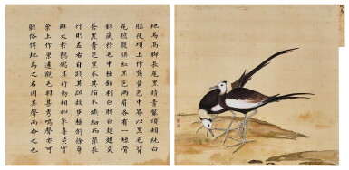 View full screen - View 1 of Lot 2619. 蔣廷錫 《鳥譜》地烏|Jiang Tingxi, An Imperial Manual of Birds- Crow.