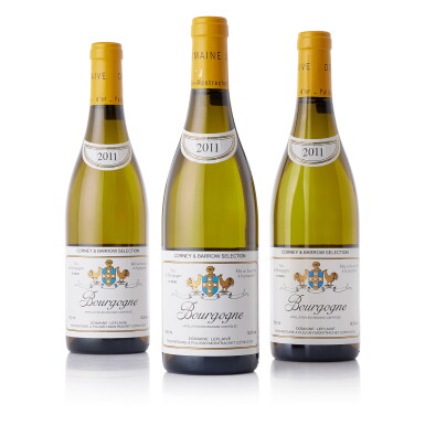 View full screen - View 1 of Lot 8533. Bourgogne Blanc 2011 Domaine Leflaive (10 BT).