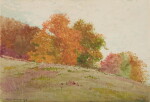 Autumn Trees