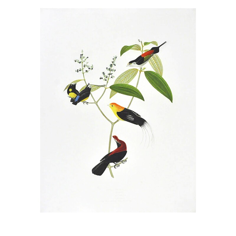 Cover image 0