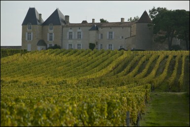 View full screen - View 1 of Lot 249. Château d'Yquem 1961 (1 BT).