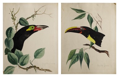 View full screen - View 1 of Lot 20. TWO WORKS: TROPICAL BIRDS IN TREES.