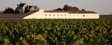 View full screen - View 1 of Lot 413. Château Mouton Rothschild 2009 (3 MAG).