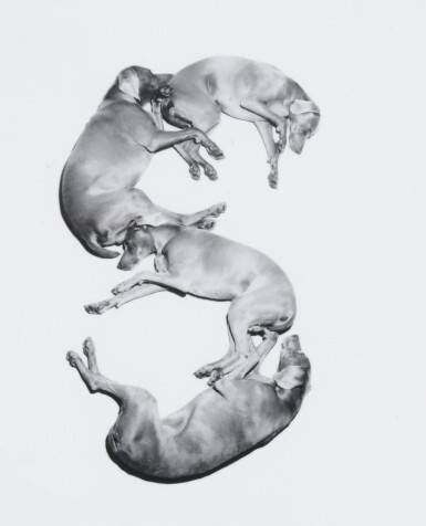 View full screen - View 1 of Lot 33. WILLIAM WEGMAN | 'LETTERS, NUMBERS, PUNCTUATION'.
