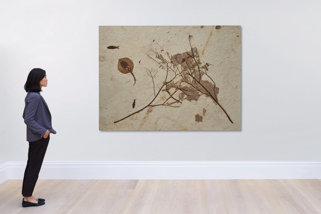 View full screen - View 1 of Lot 29. Fossil Branches With Stingray and Fish.