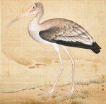 Jiang Tingxi, Warbler | 蔣廷錫 《鳥譜》麥黃鶯