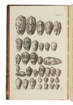 Schröter, Johann Samuel | The conchological portion of the celebrated Gottwald cabinet
