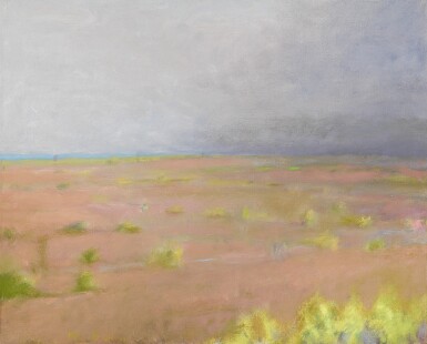 View full screen - View 1 of Lot 46. Pale Texas Landscape.