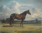 A Racehorse in a Landscape