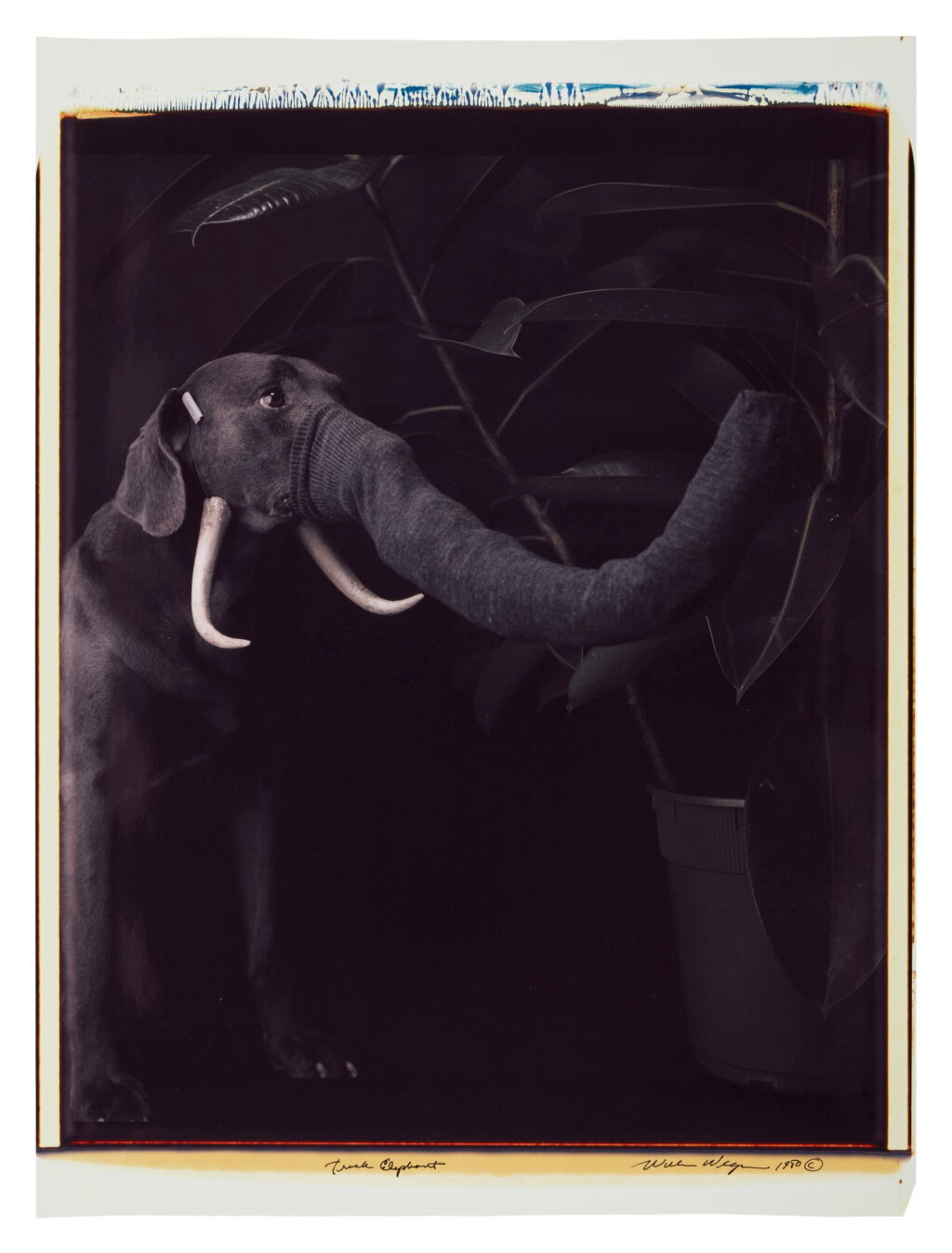 View full screen - View 1 of Lot 214. 'Trick Elephant'.