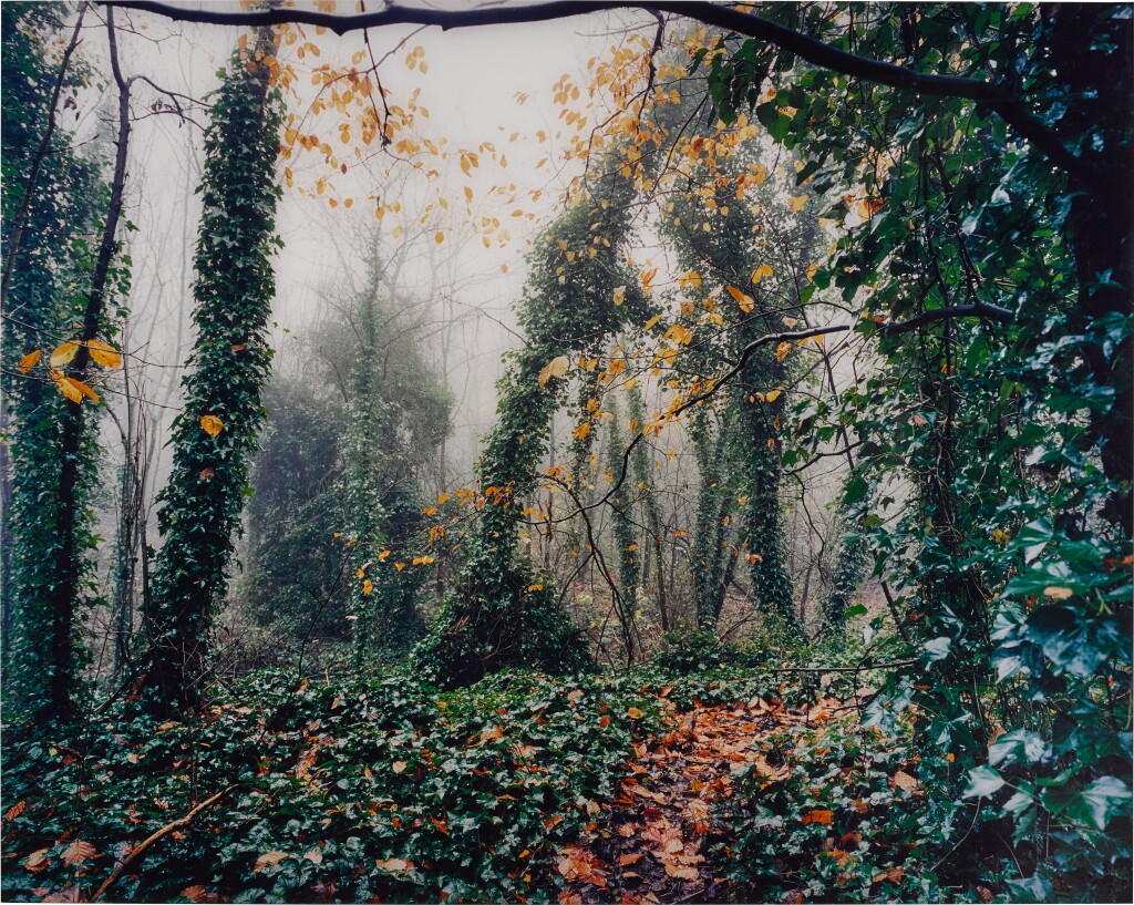 View full screen - View 1 of Lot 153. 'Untitled' (Hampstead Heath).