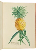 Trew, Cristoph Jakob — Benedict Christian Vogel | The finest botanical work ever printed in Germany