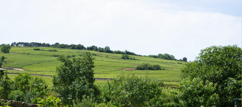 View full screen - View 1 of Lot 239. Pommard, Les Rugiens 1990 Hubert de Montille (7 BT).