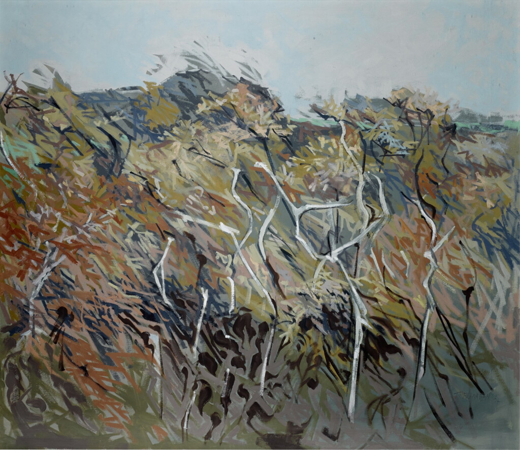 View full screen - View 1 of Lot 117. After Gorse Fires.