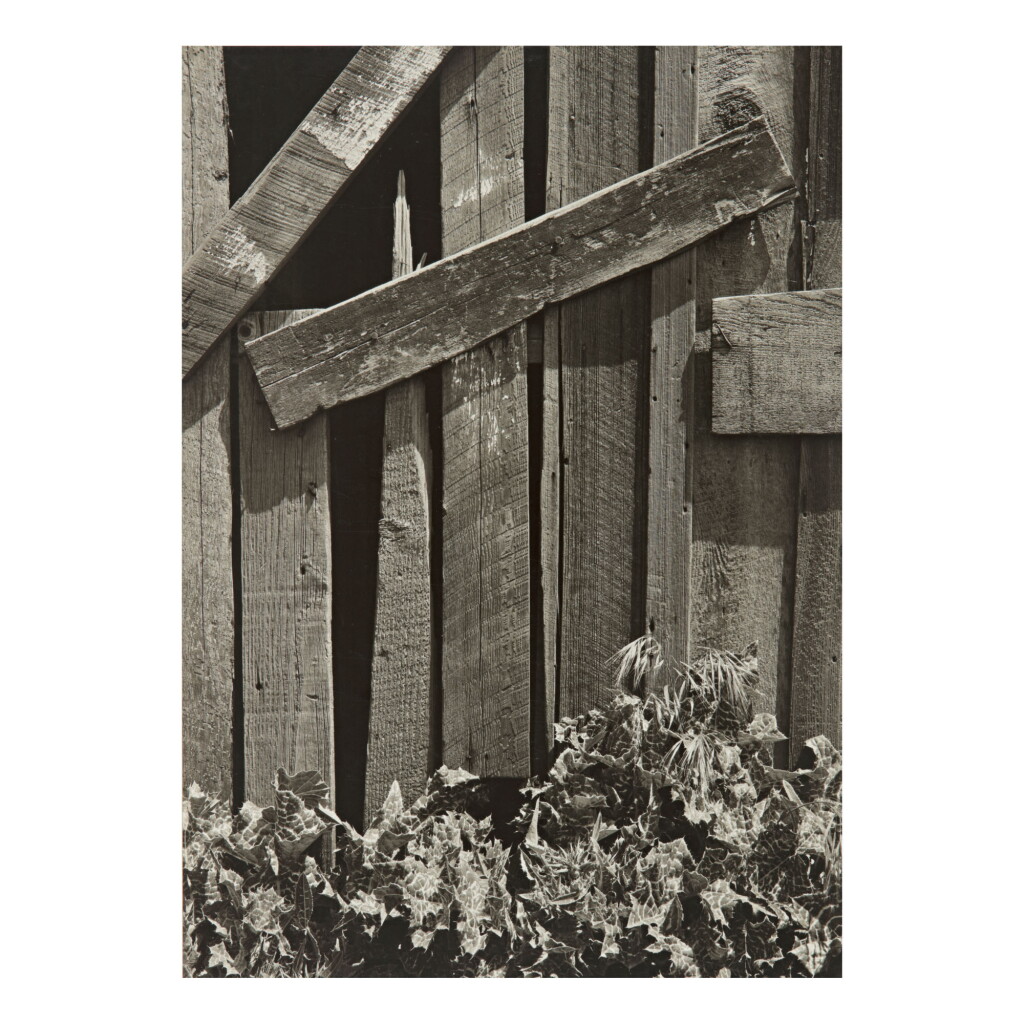 View full screen - View 1 of Lot 43. ANSEL ADAMS | 'BOARDS AND THISTLES'.
