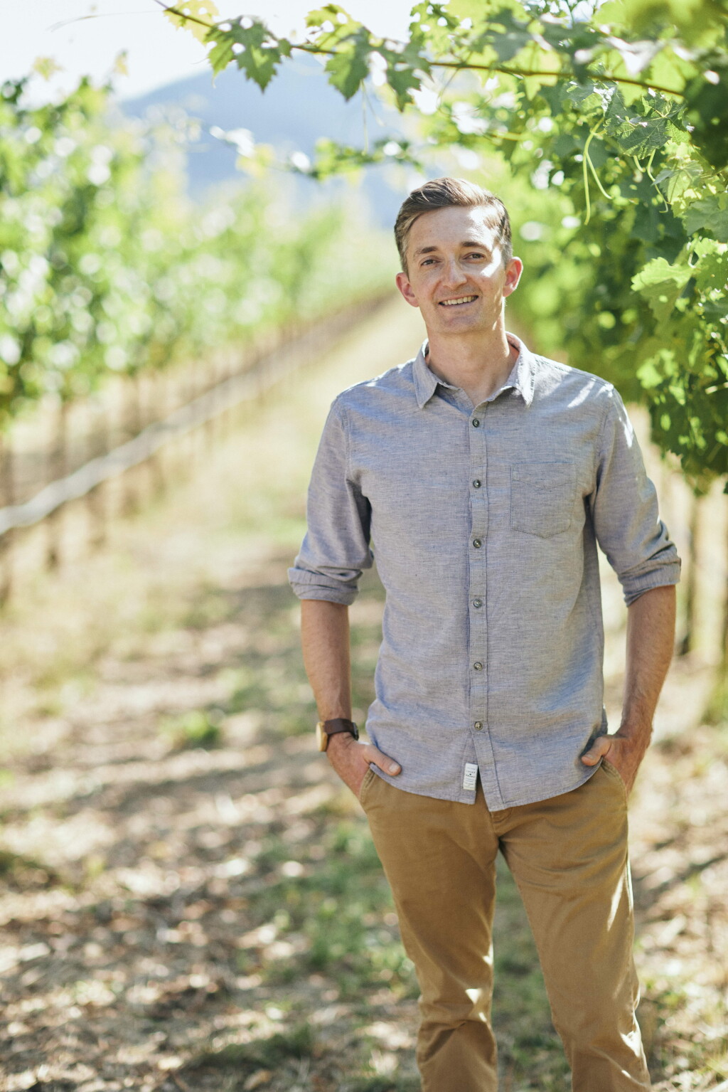 View full screen - View 1 of Lot 12. Copper Bear, Beckstoffer Georges III Vineyard, Cabernet Sauvignon, Rutherford 2024 (60 BT) .
