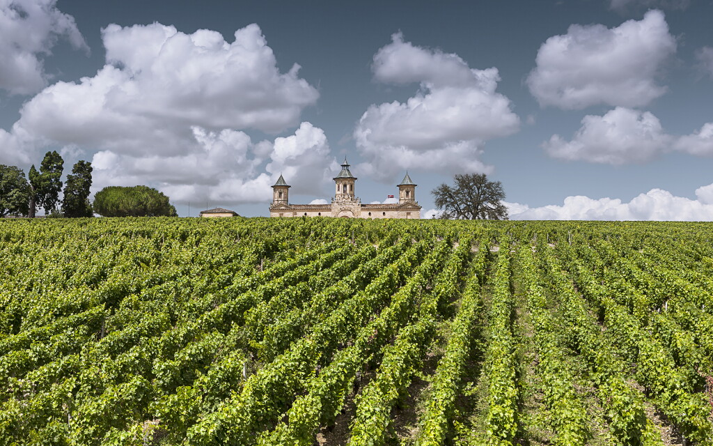 View full screen - View 1 of Lot 274. Château Cos d'Estournel 2005 (12 BT).