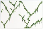 Ghost Vines (Anthem) #3