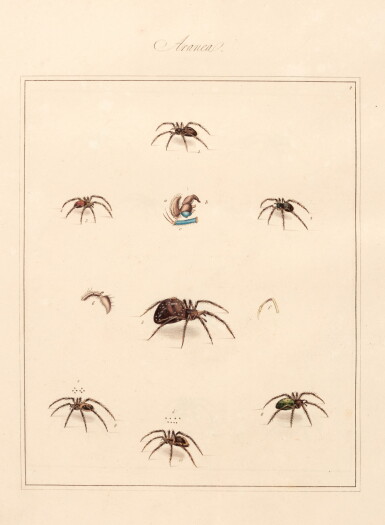 View full screen - View 1 of Lot 145. Thomas Martyn | Aranei, or a natural history of spiders, 1793, 2 parts in 1 volume.