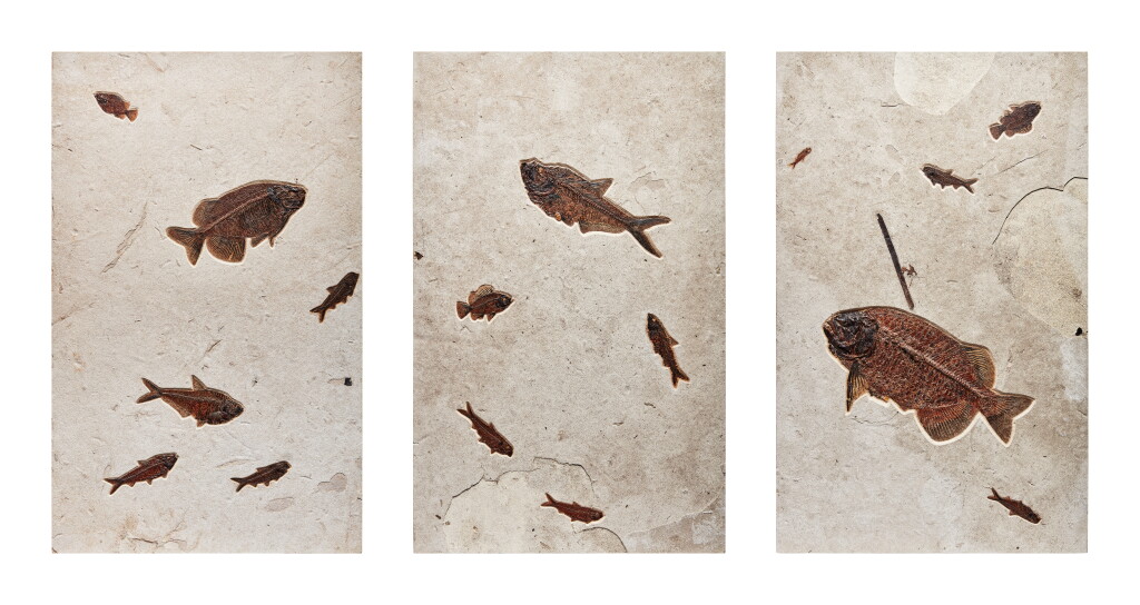 View full screen - View 1 of Lot 15. Multi-Fish Triptych Mural.