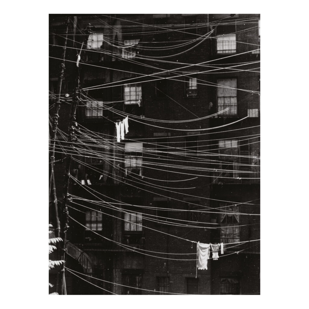 View full screen - View 1 of Lot 137. RALPH STEINER | PORTFOLIO II.