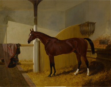 View full screen - View 1 of Lot 444. Colonel Peel's Orlando in a Stable.