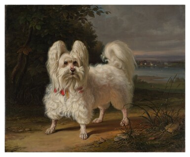 View full screen - View 1 of Lot 2. Maltese dog standing in a landscape.