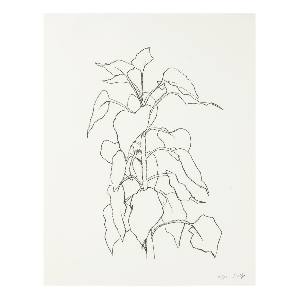 View full screen - View 1 of Lot 223. ELLSWORTH KELLY | SUNFLOWER II (AXSOM 314).