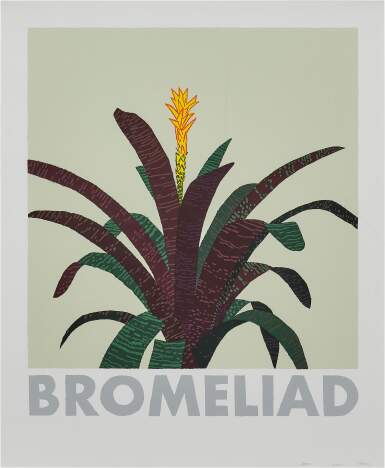 View full screen - View 1 of Lot 86. Bromeliad | 鳳梨花.