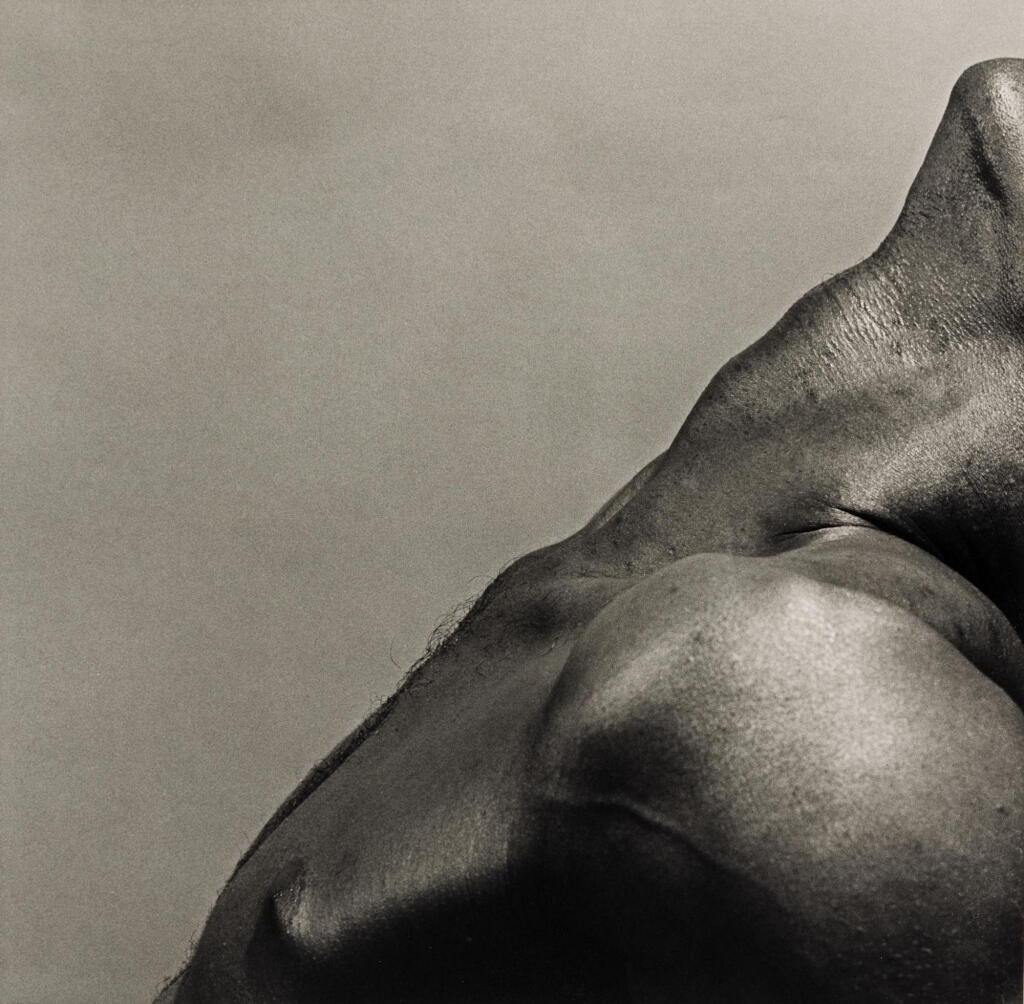 View full screen - View 1 of Lot 61. ROBERT MAPPLETHORPE | 'ALISTAIR BUTLER', 1980 .