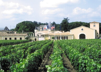 View full screen - View 1 of Lot 1142. Château Haut Brion 1986 (1 BT) .