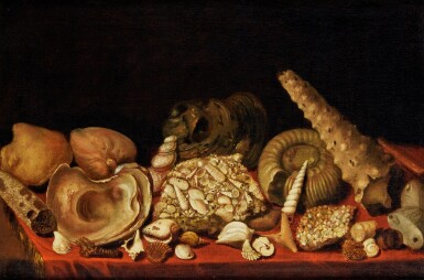 View full screen - View 1 of Lot 12. Still Life with Assorted Shells on a Table.