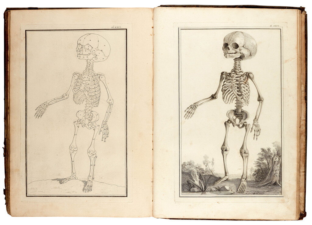 View full screen - View 1 of Lot 73. Monro, Traité d'ostéologie, Paris, 1759, contemporary calf, 2 volumes.