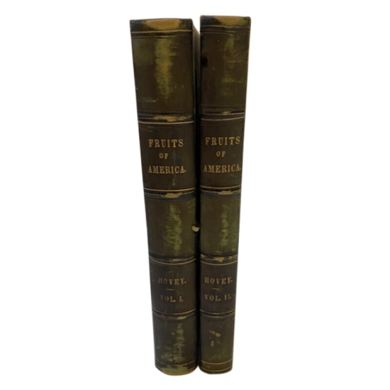 Cover image 0