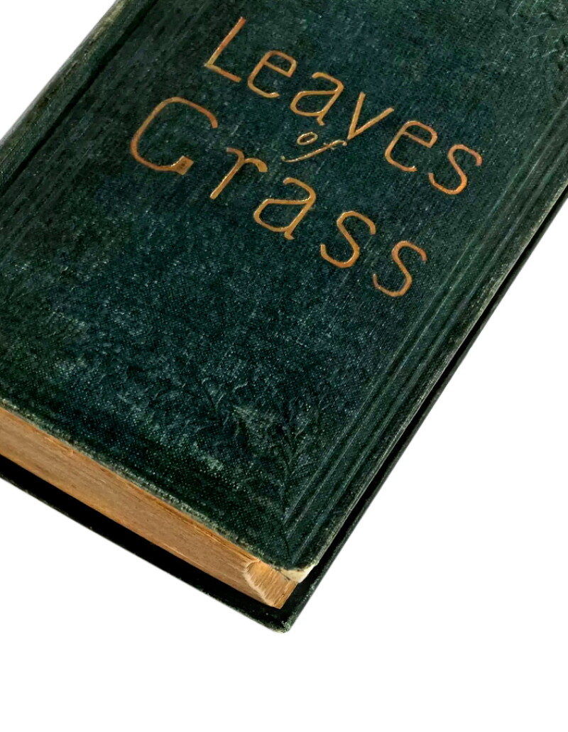 Cover image 0