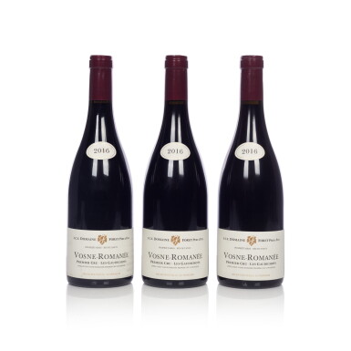 View full screen - View 1 of Lot 247. Vosne Romanée, Les Gaudichots 2016 Domaine Forey Père et Fils (12 BT).