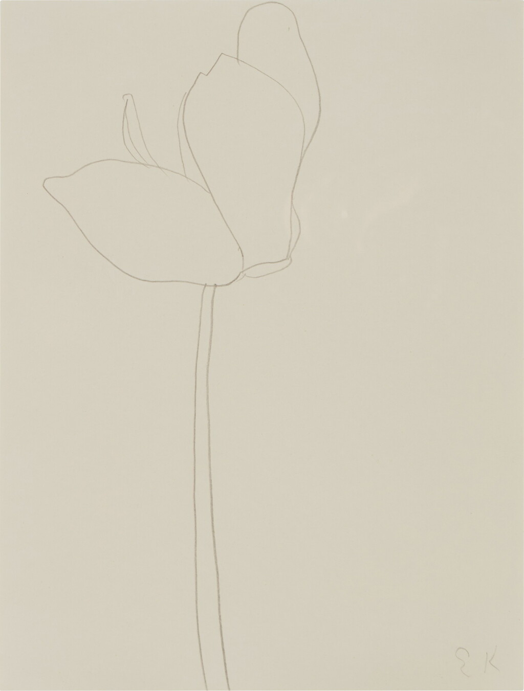 View full screen - View 1 of Lot 30. Cyclamen.