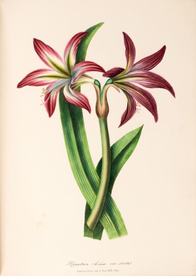 View full screen - View 1 of Lot 75. A.E. May and William May | Choice Flowers, London, 1849, original red morocco gilt.
