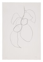 ELLSWORTH KELLY | CAMELLIA III (AXSOM 43)