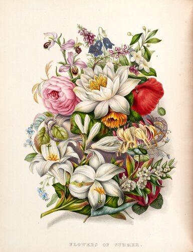 View full screen - View 1 of Lot 248. Rudolph Ackermann | The floral album, London, 1837, contemporary red half morocco.