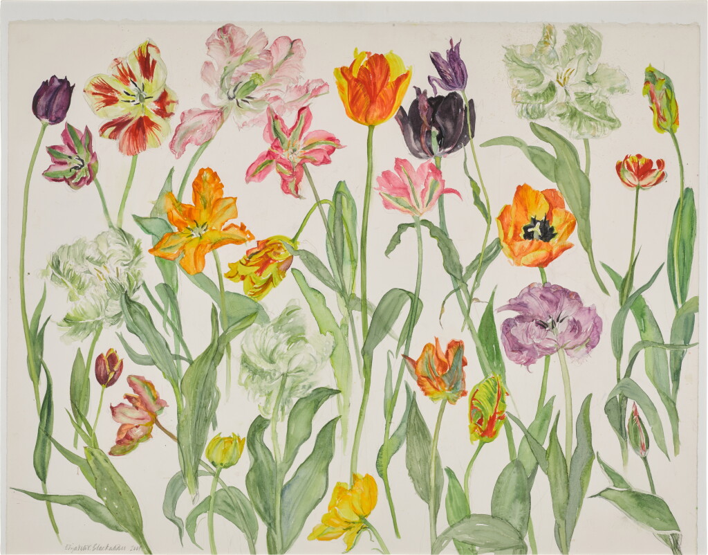 View full screen - View 1 of Lot 37. Tulips II.