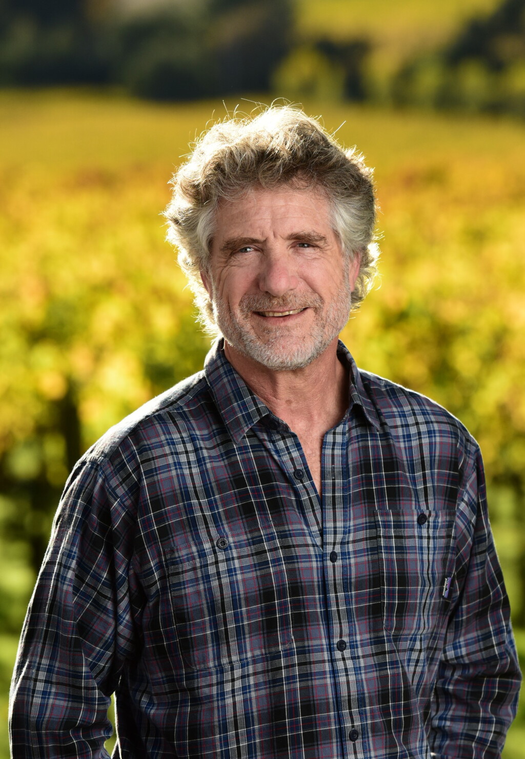 View full screen - View 1 of Lot 7. Farella Vineyard, Upper Terrace, Cabernet Sauvignon, Coombsville 2022 (60 BT).