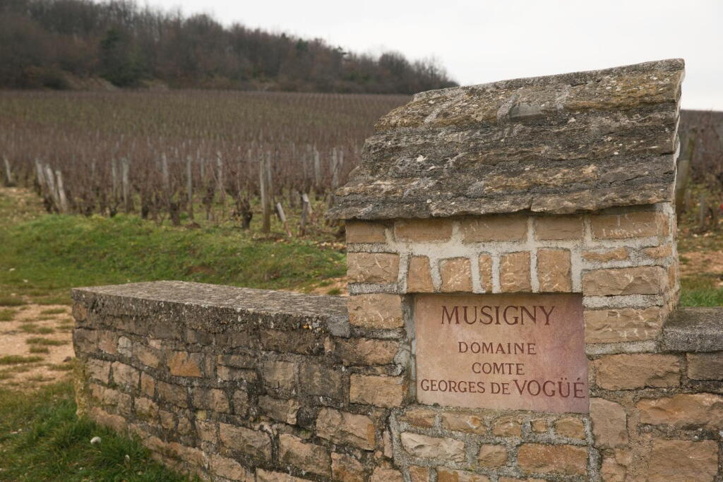 View full screen - View 1 of Lot 6059. Musigny, Cuvée Vieilles Vignes 2011 Comte Georges de Vogüé (3 BT).