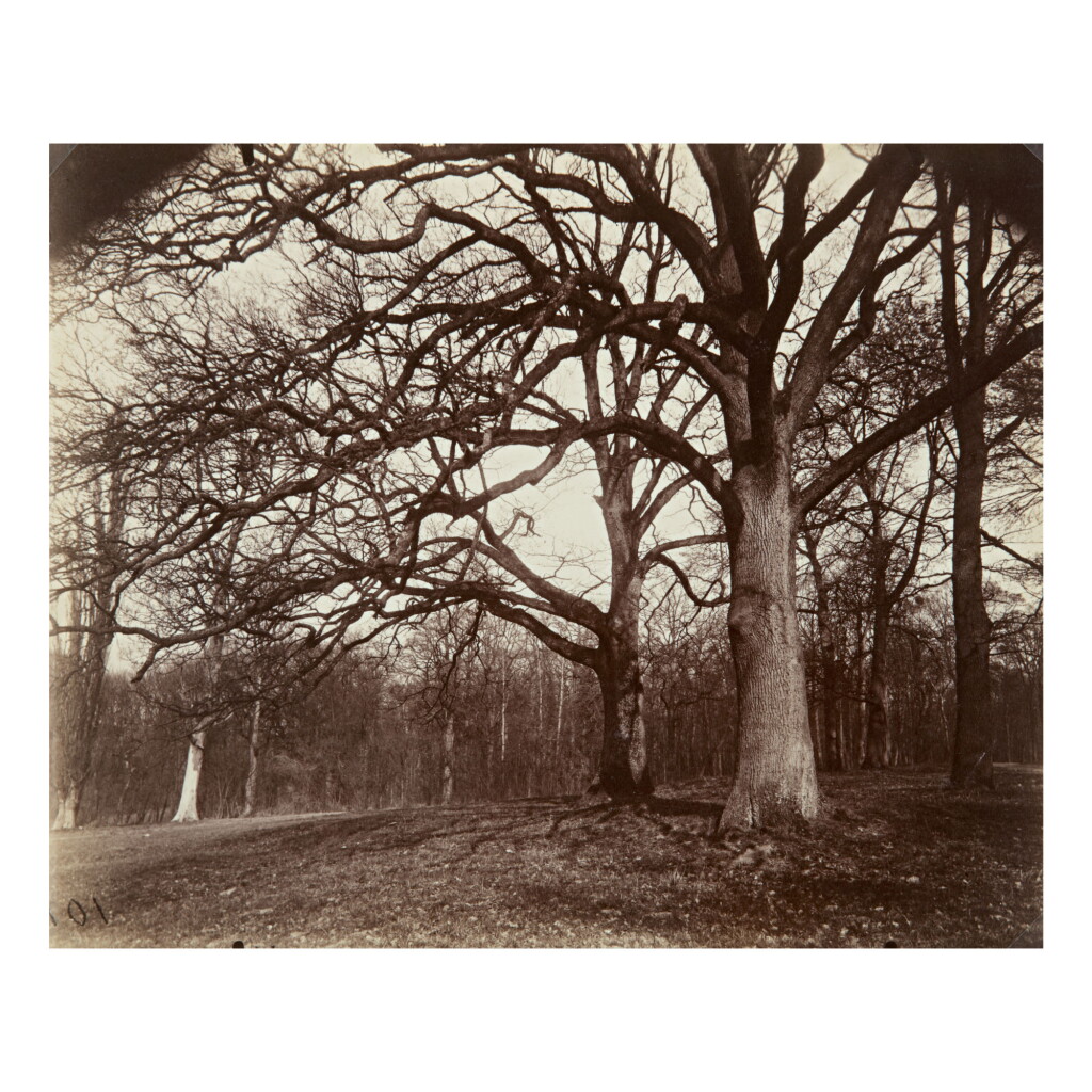 View full screen - View 1 of Lot 125. EUGÈNE ATGET | 'ST. CLOUD'.