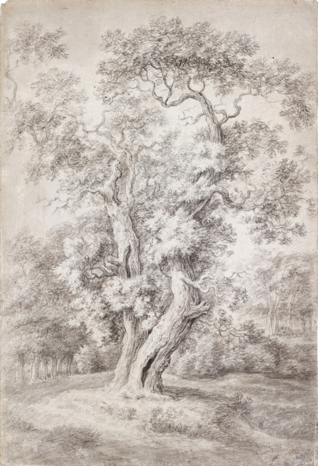 View full screen - View 1 of Lot 43. Study of an Oak Tree in Woodland.
