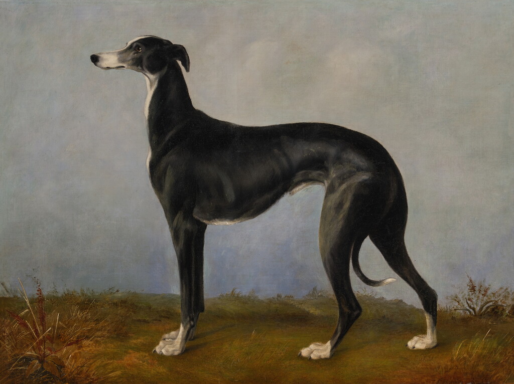View full screen - View 1 of Lot 120. Eos, A Favorite Greyhound of Prince Albert.