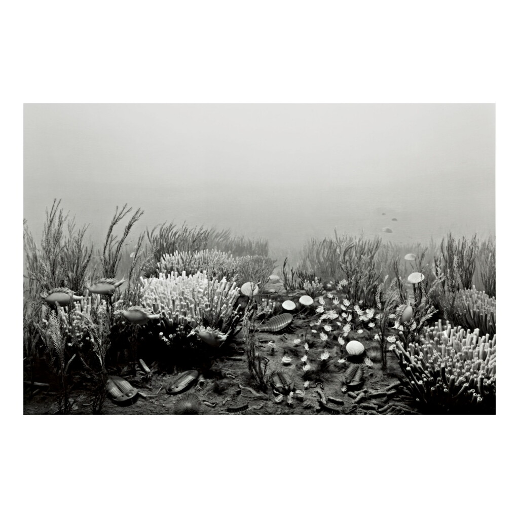 View full screen - View 1 of Lot 19. HIROSHI SUGIMOTO | CAMBRIAN PERIOD.