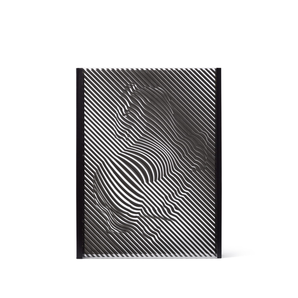 View full screen - View 1 of Lot 143. Zebra.